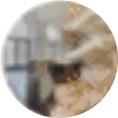 bimbel-snbt-img-testimoni-ibu-nurbani